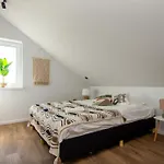 Kopu Banga Palanga